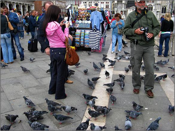 אירופה, איטליה, כיכר סן מרקו, ונציה, Venice, Piazza San Marco, Italy